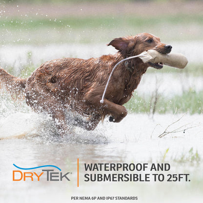 SportDOG Rechargeable In-Ground Fence Systems, Electric Fence for Dogs, Waterproof and Submersible to 25 Ft, from The Parent Company of Invisible Fence Brand