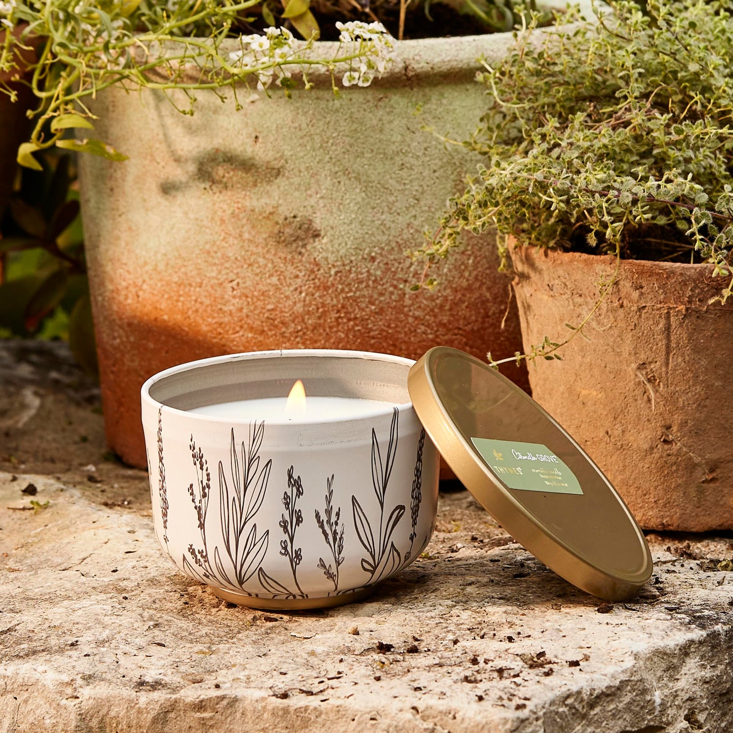Thymes Scented Candles for Women & Men – Tin with Lid – Luxury Home Decor – Citronella Candles with Notes of Olive Leaf, Lemongrass, & Gardenia – Outdoor Decor (Citronella Grove, 6.5 oz)