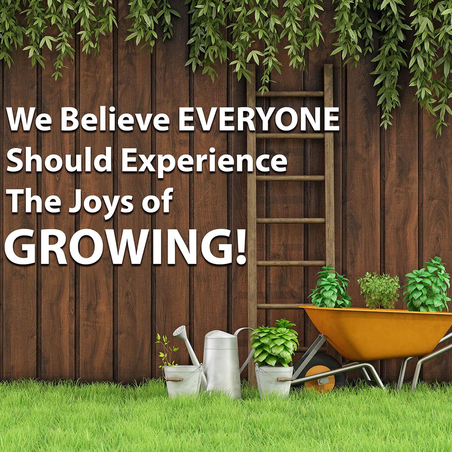 Tidal Wave Series Petunia Purple ~50 Seeds – AAS Winner – Climbing or Mounding Flower – Pelleted Seeds – Annual – Non-GMO – 98–105 Days – Full Sun
