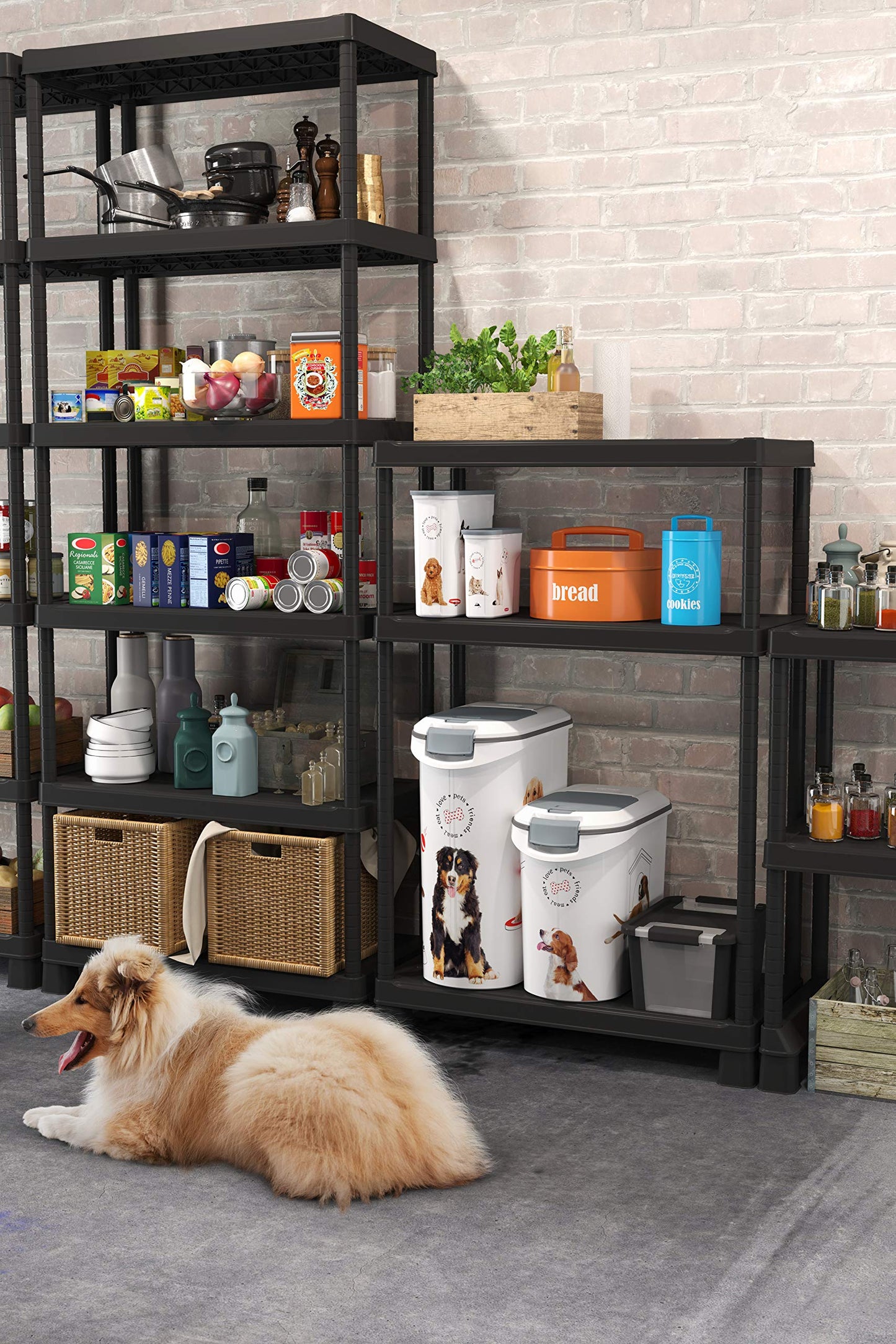 Curver 241093 Food Container 20 kg I 54L White/Grey/Love Pets Dogs 49.3 x 27.8 x 60.5 cm