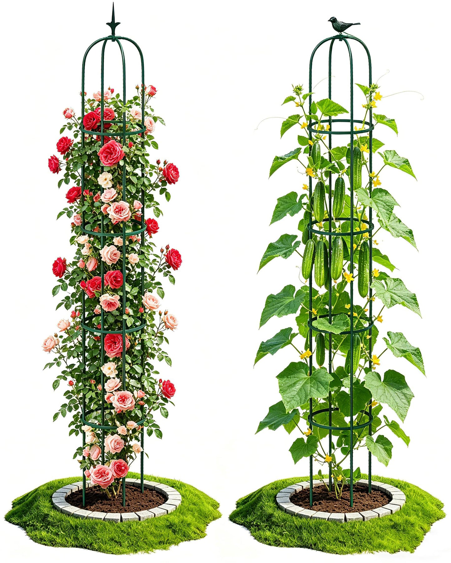 2PCS Garden Trellis for Climbing Plants, 6.2FT Rustproof Metal Pipe with Heavy Duty Plastic Coated, Garden Outdoor Indoor Potted Plant Support, Obelisk Garden Trellis for Climbing Vine (Green)