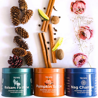 Balsam Fir Pine, Pumpkin Spice, Nag Champa - Soy Candles Non Toxic - Highly Scented Long Lasting with Essential Oils - Variety Pack of 3 x 5oz - for Home Aromatherapy Meditation Gift Travel