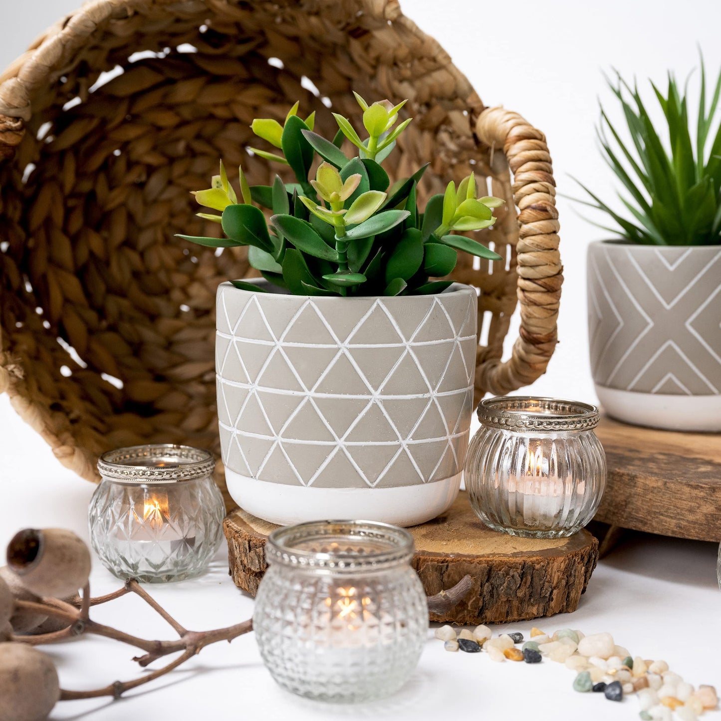 Kurrajong Farmhouse 8" high Artificial Plant in Pot - Small Faux Plant for Desk, Kitchen, Bathroom, Shelf & Coffee Table - Realistic Indoor Plant for Home Decor