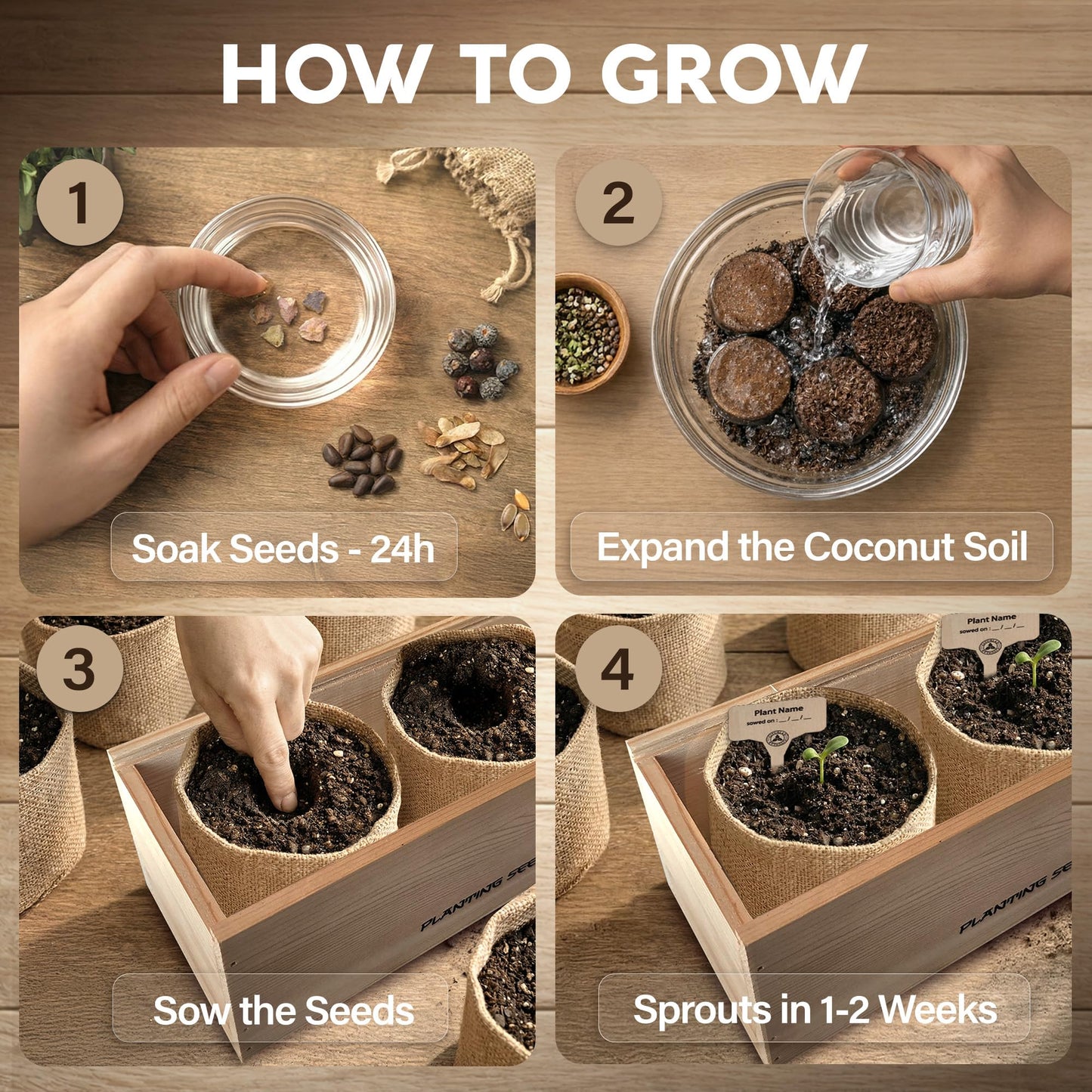 AVERGO Bonsai Tree Kit Classic - 5X Unique Japanese Bonzai Trees | Complete Indoor Bonsai Starter Kits for Growing Trees – DIY Gardening Gifts for Mother's Day, Women & Men