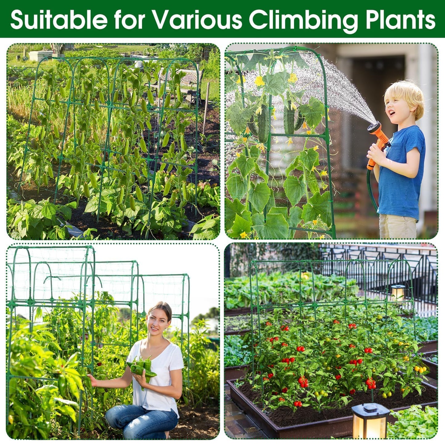 OTOSUNNY Garden Trellis for Climbing Plants Outdoor, Cucumber Trellis for Raised Bed Garden, Arch Trellis Support for Cucumbers Tomatoes Beans Peas, 50x48 inch, Metal Trellis with Netting, Green