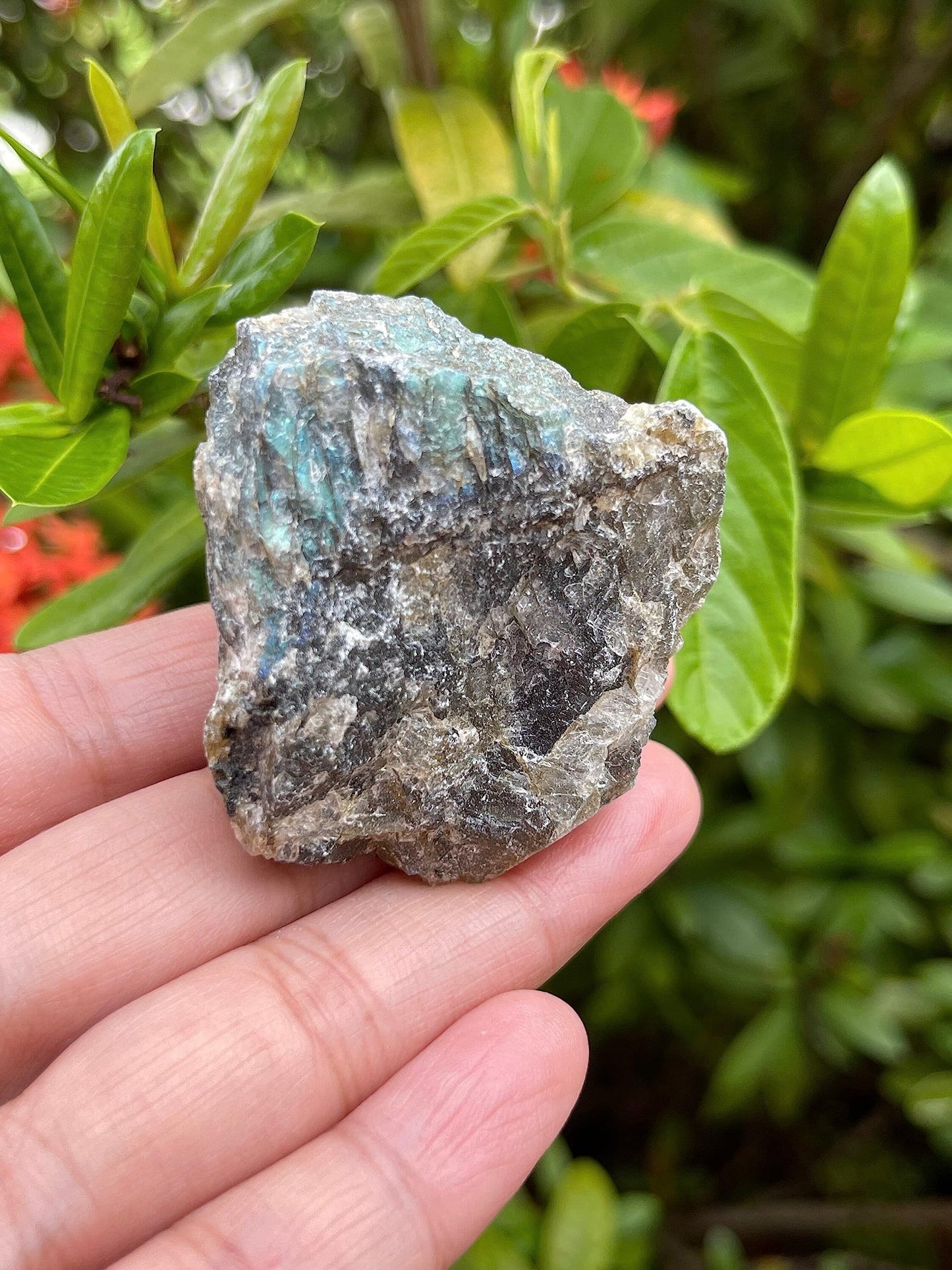 GAF TREASURES 1 Pound Raw Labradorite - Natural Labradorite Stone, Natural Rough Labradorite, Labradorite Rough, Labradorite Rocks (Labradorite)
