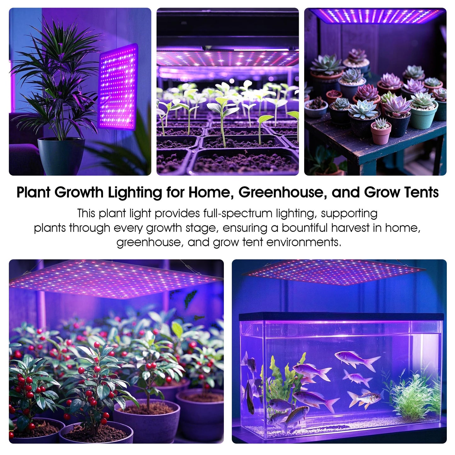 Uallhome 2 Pack LED Grow Light Panel 200W Lamp for Indoor Plants, Full Spectrum with White Blue Red UV IR LEDs for 4x4ft Coverage Grow Tent Greenhouse Veg and Bloom Seedlings Hydroponics