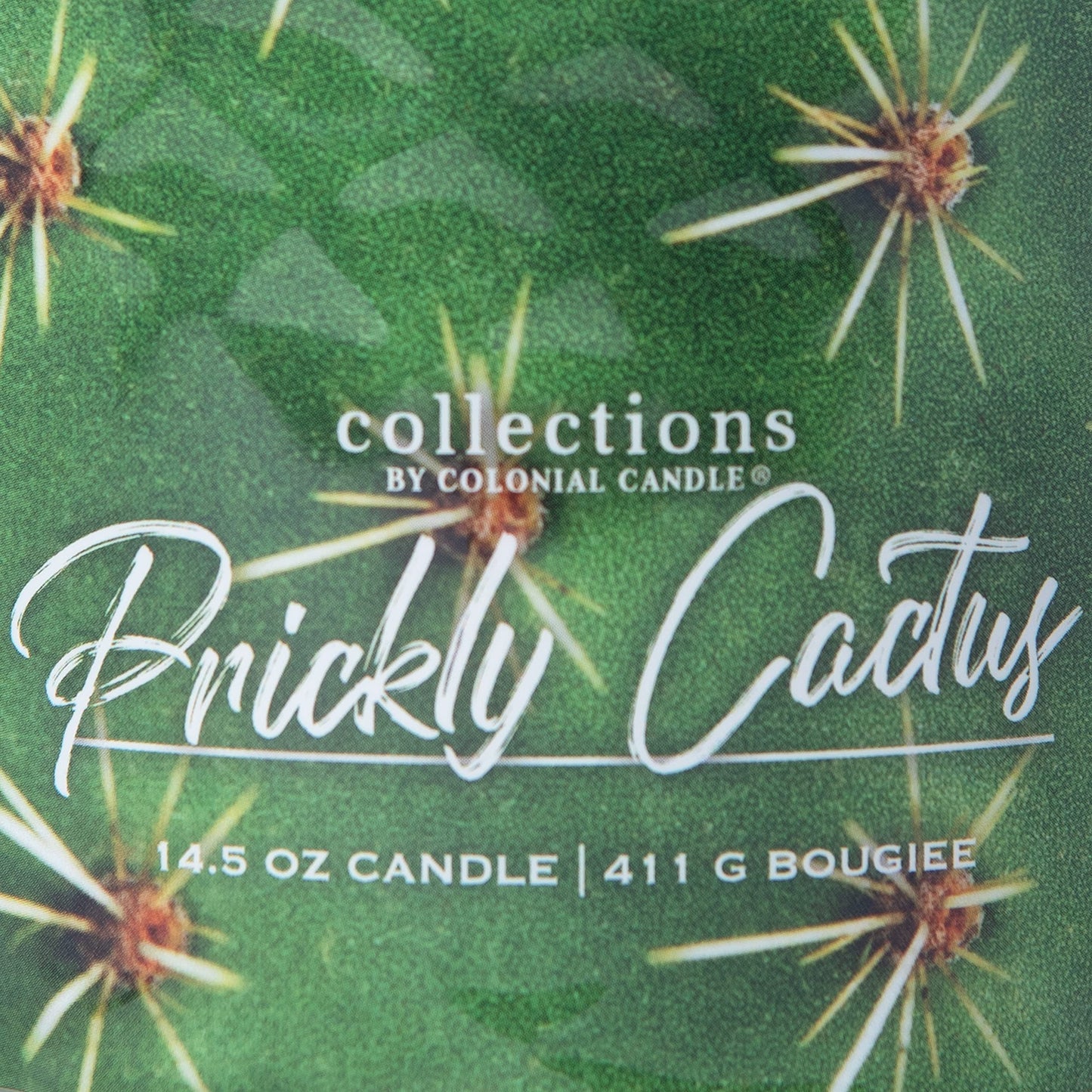 Colonial Candle Prickly Cactus Scented Jar Candle, Desert Collection, Purple, 3 Wick, 14.5 oz