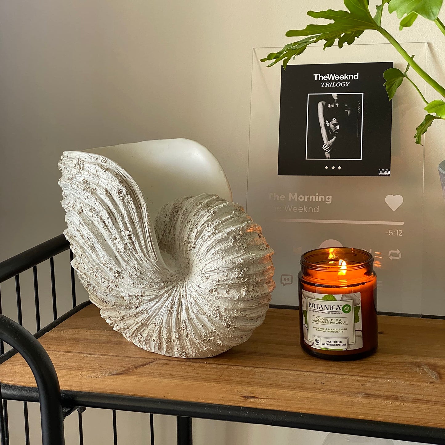 Huey House Large Nautilus Shell Sculpture, White Seashell Beach Decor