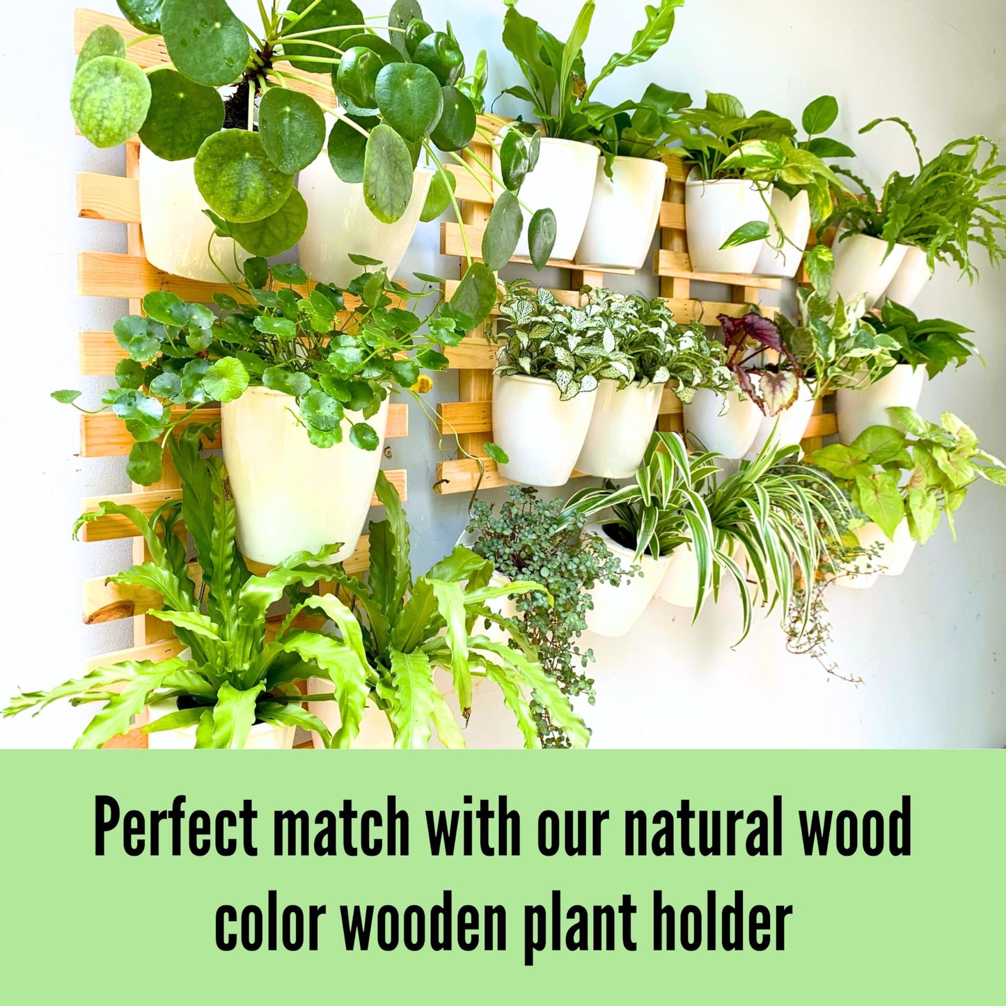 LaLaGreen Wall Mounted Planters for Indoor Plants - 10 Pack, 5 Inch Self Watering Plastic Pot, Living Hanging Eco Wall Planter System, Trendy Live Wall Garden for Herb, White