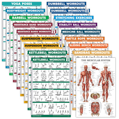 18 Pack - Exercise Poster Set, Dumbbell, Suspension, Kettlebell, Resistance Bands, Stretching, Bodyweight, Barbell, Battle Rope, Yoga, Exercise Ball, Muscular and More (LAMINATED, 18" x 24")