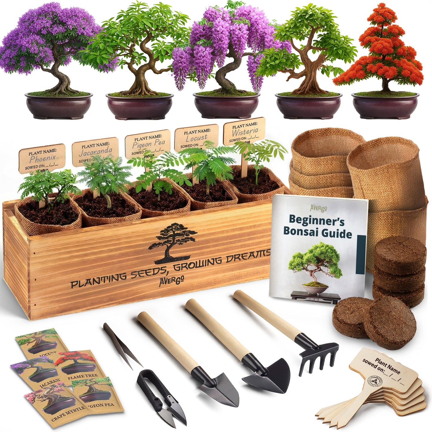 AVERGO Bonsai Tree Kit Deluxe - 5X Unique Japanese Bonzai Trees | Complete Indoor Bonsai Starter Kits from Seeds to Trees – DIY Gardening Gifts for Mother's Day, Women & Men