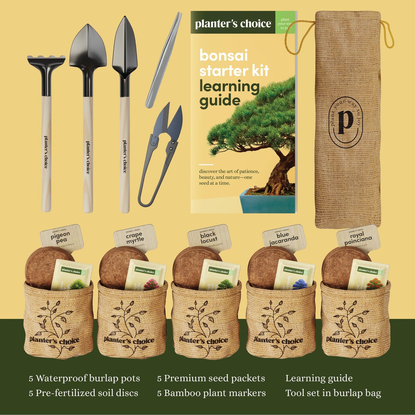 Planter's Choice Bonsai Tree Starter Kit - Mothers Day Gifts for Women, Men - Birthday Gifts for Adults - Indoor Live House Plants - DIY for Adults Craft Kits - Unique Hobby Gift Gardening Lovers
