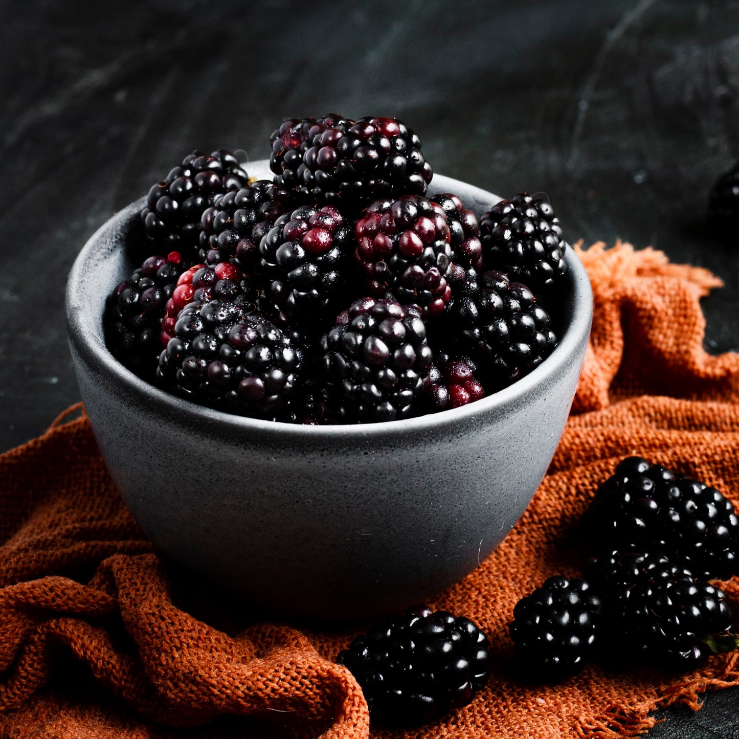 BlackBerry Plant Freedom-Ark (4 Pack) | Live Fruit Plant for Planting | Thornless & High-Yielding Variety | Large, Sweet & Juicy Berries | Perfect for Fresh Eating & Organic Gardens | Easy to Grow