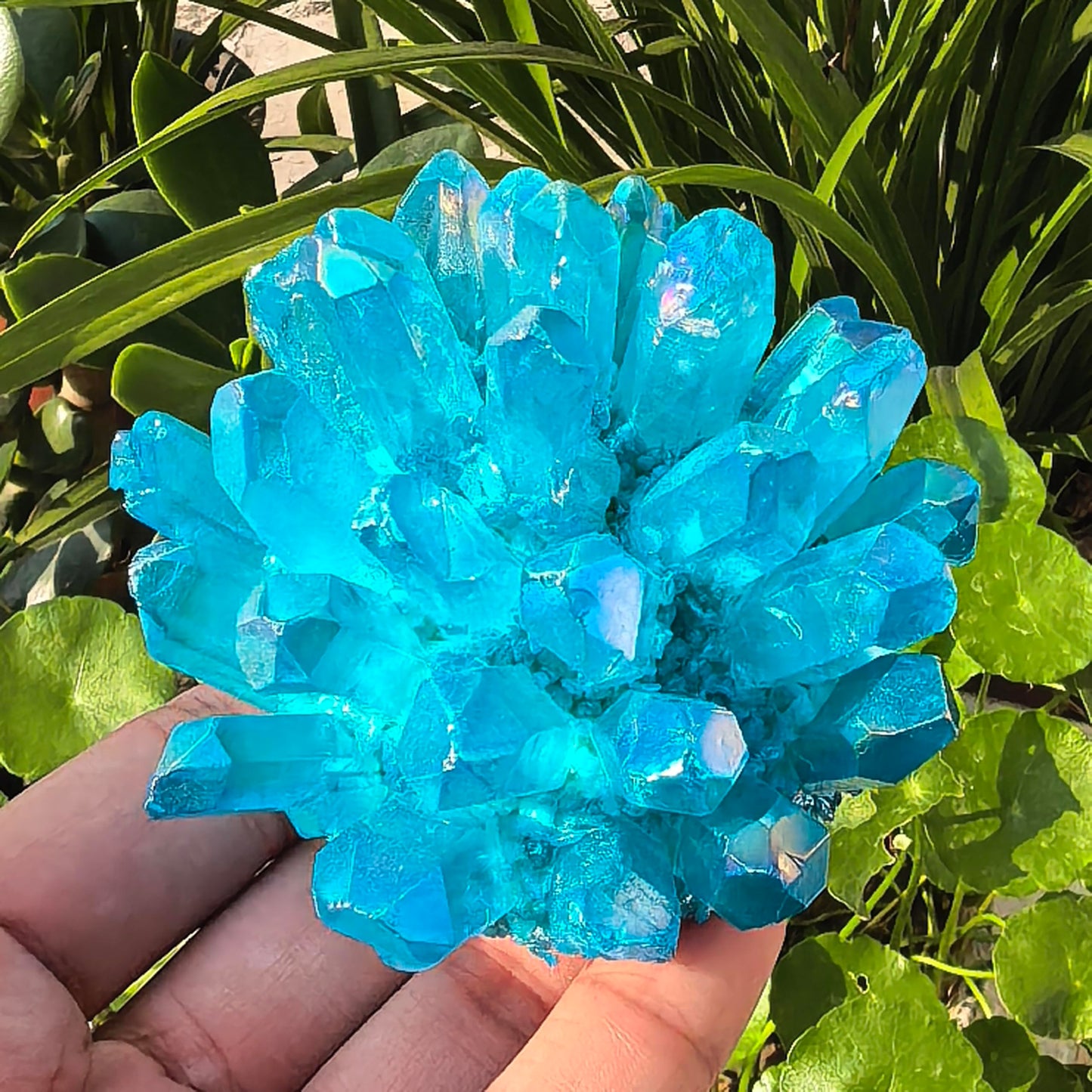 Crystal Cluster Electroplate Natural Quartz Mineral Specimen for Home Decor,Reiki Healing, February Birthstone Gift (blue)