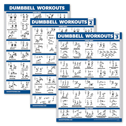 Palace Learning 3 Pack - Dumbbell Workout Posters for Home Gym - Volume 1, 2 & 3 - Exercise Charts (Laminated, 18" x 24")