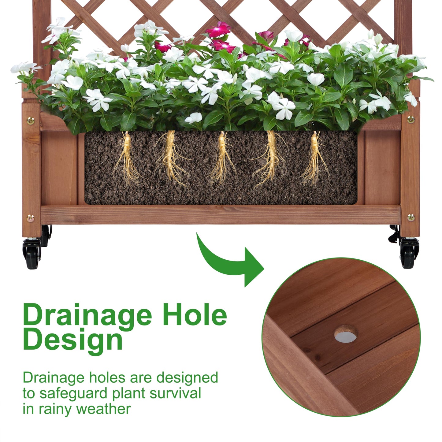 Wood-Natrl Raised Garden Bed with Trellies 2 Pack, Outdoor Wooden Planter Box & Plant Stand with Climbing Racks