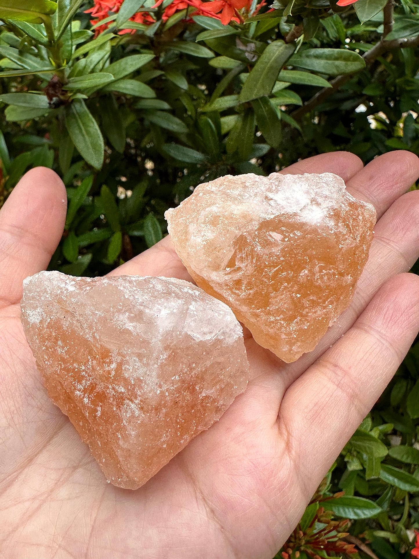 1 Pound Natural Himalayan Salt Chunks, Large Himalayan Salt Rough Crystals, Chunky Crystals, Pink Sea Salt, Crystal Rocks