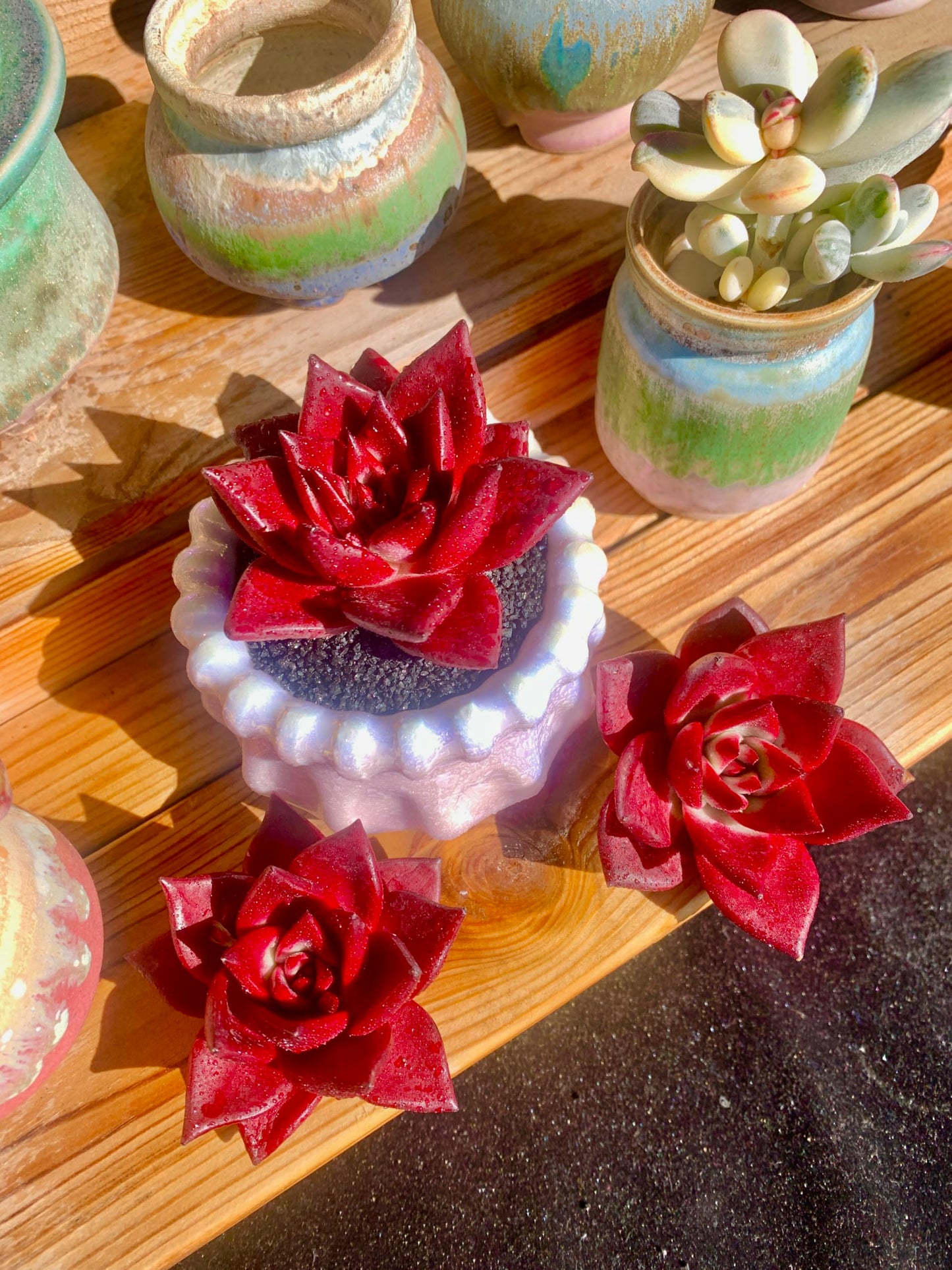 Echeveria Agavoides v Romeo Rubin Rare Live Succulent Plants, Red 1 Head 3" Live Plant, Package Without Pot Soil, Garden Indoor Office Desk, Wedding Party Baby Shower Decoration, Plant Lovers Gifts