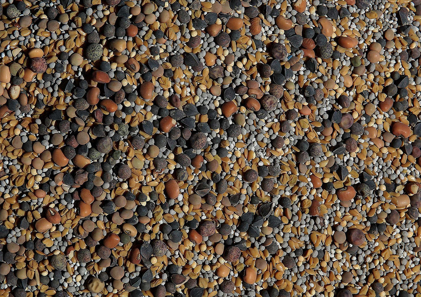 No-Till Cover Crop 13-Seed Mix (½-lb): [50% Clovers Plus Fenugreek, Vetch, Flax, Cowpeas, Buckwheat, Forage Peas, Millet, Lentils, Crimson Clover, Sweet Yellow Clover, White Clover, Medium Red Clover]