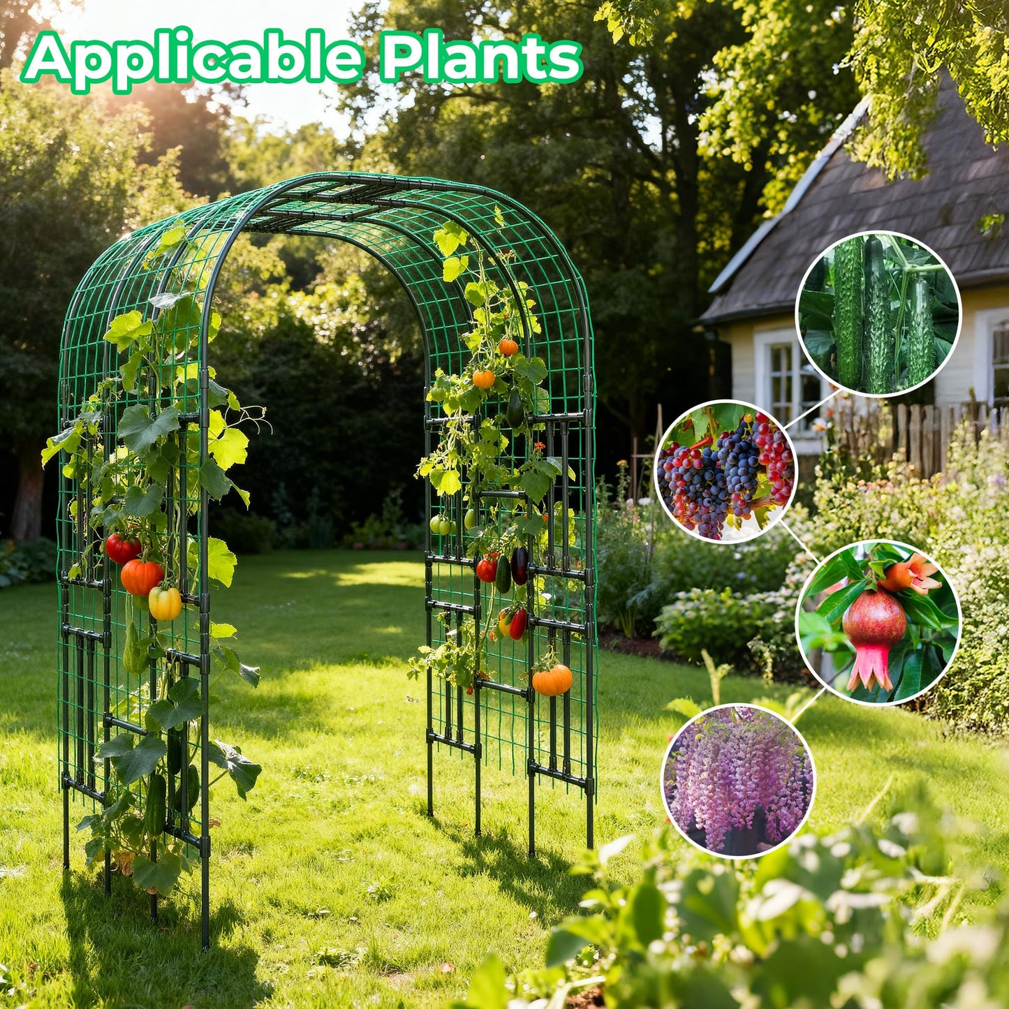 Aohanoi Garden Arch Trellis for Climbing Plants,7.22 FT Tall Large Arbour Archway for Rose Vine Cucumber Vegetables,Wide Garden Arch for Lawn,Party,Ceremony Wedding Decoration