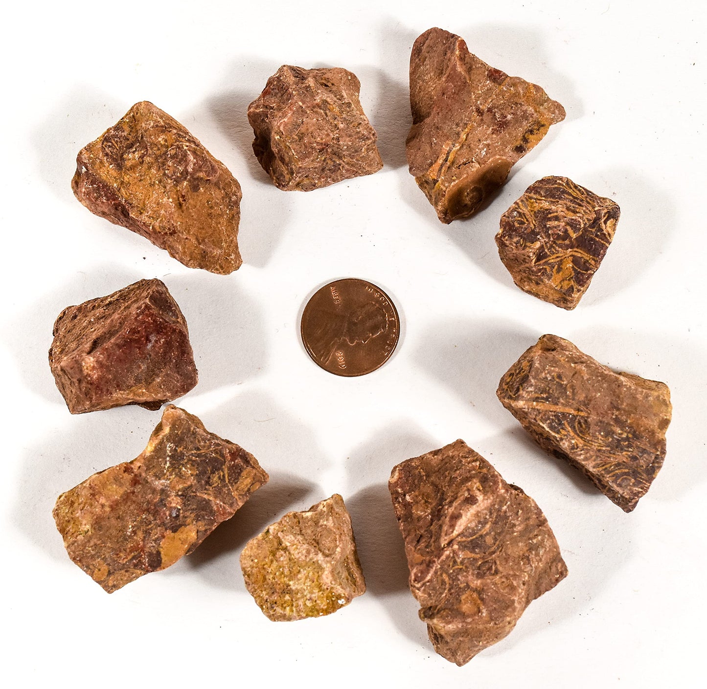 HQRP 10PCS Elephant Skin/Mariam Jasper Rough Stones Natural Fossil Coquina Jasper Crystal Arabic Calligraphy Mineral Rocks - India
