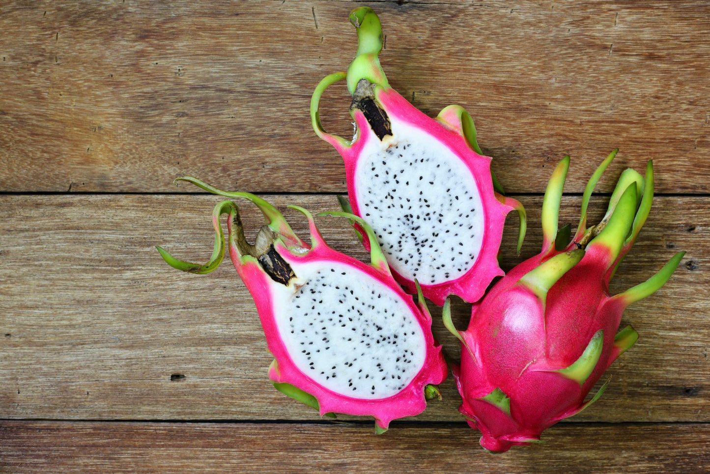Dragon Fruit Plant Live Pitaya Pitahaya Vietnamese Outdoors 1 Plant Rooted
