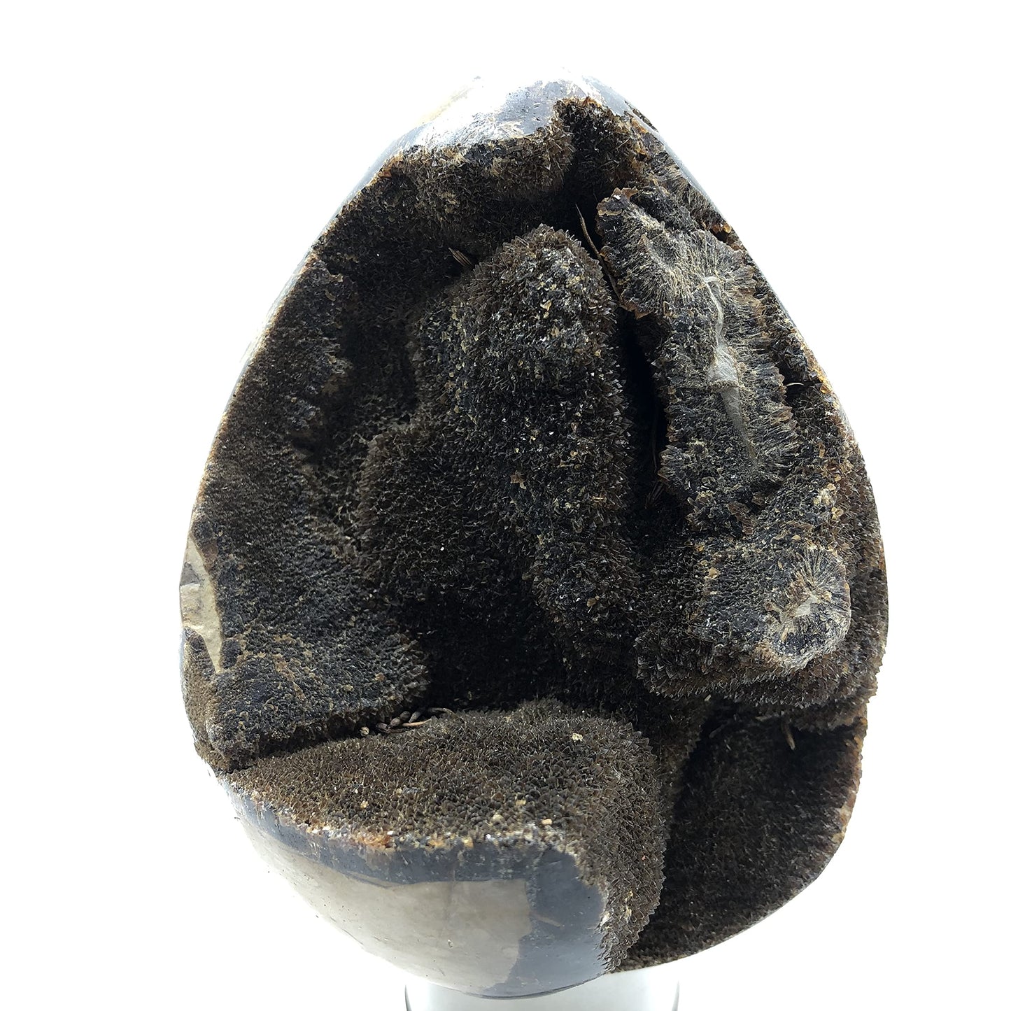 DHRWGEM Natural Dragon Septarian Geode Egg Quartz Crystal Egg Crystal Geode Reiki Healing Home Decor DMDRA1 (0.22lb to 0.66lb)