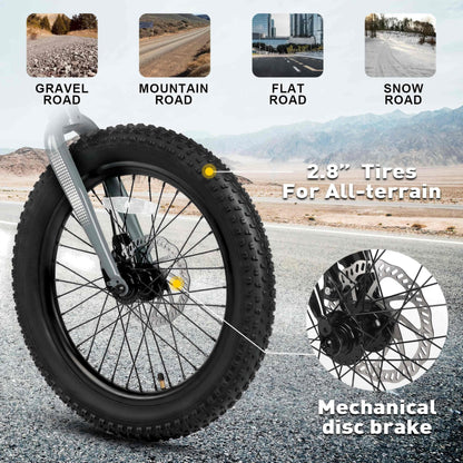 Glerc Mars Kids Mountain Bike, 20 Inch Fat Tire Bike for Teen Ages 6-12 Year Old, Bicycle with 2.8-Inch Wide Tires and 6 Speed Drivetrain, Gray