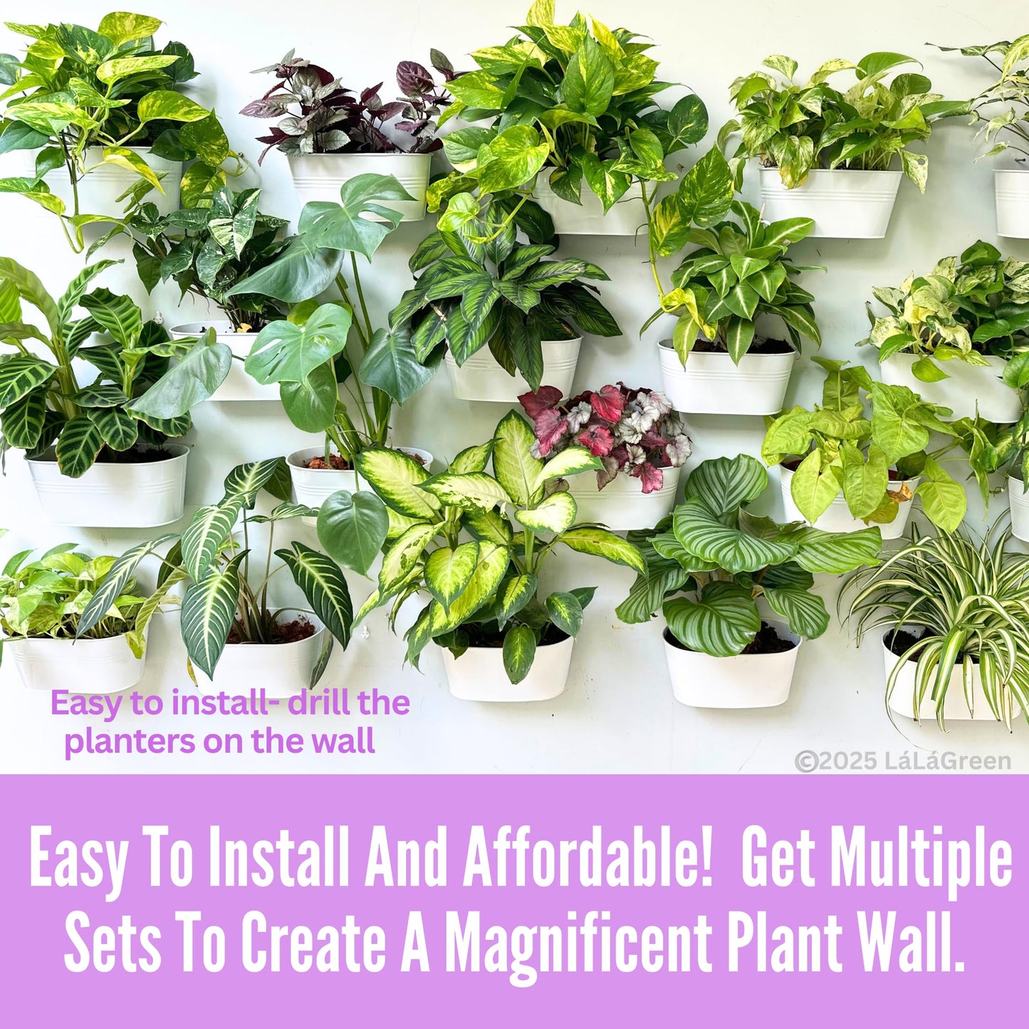 LaLaGreen Wall Planter Outdoor Plants (11.8 Inch, 10 Pack) White Metal wall Decor Flower Planter Balcony Home Decor Modern Hanging Plant Planters Indoor Window Herbs Garden Drainage Yard Pot