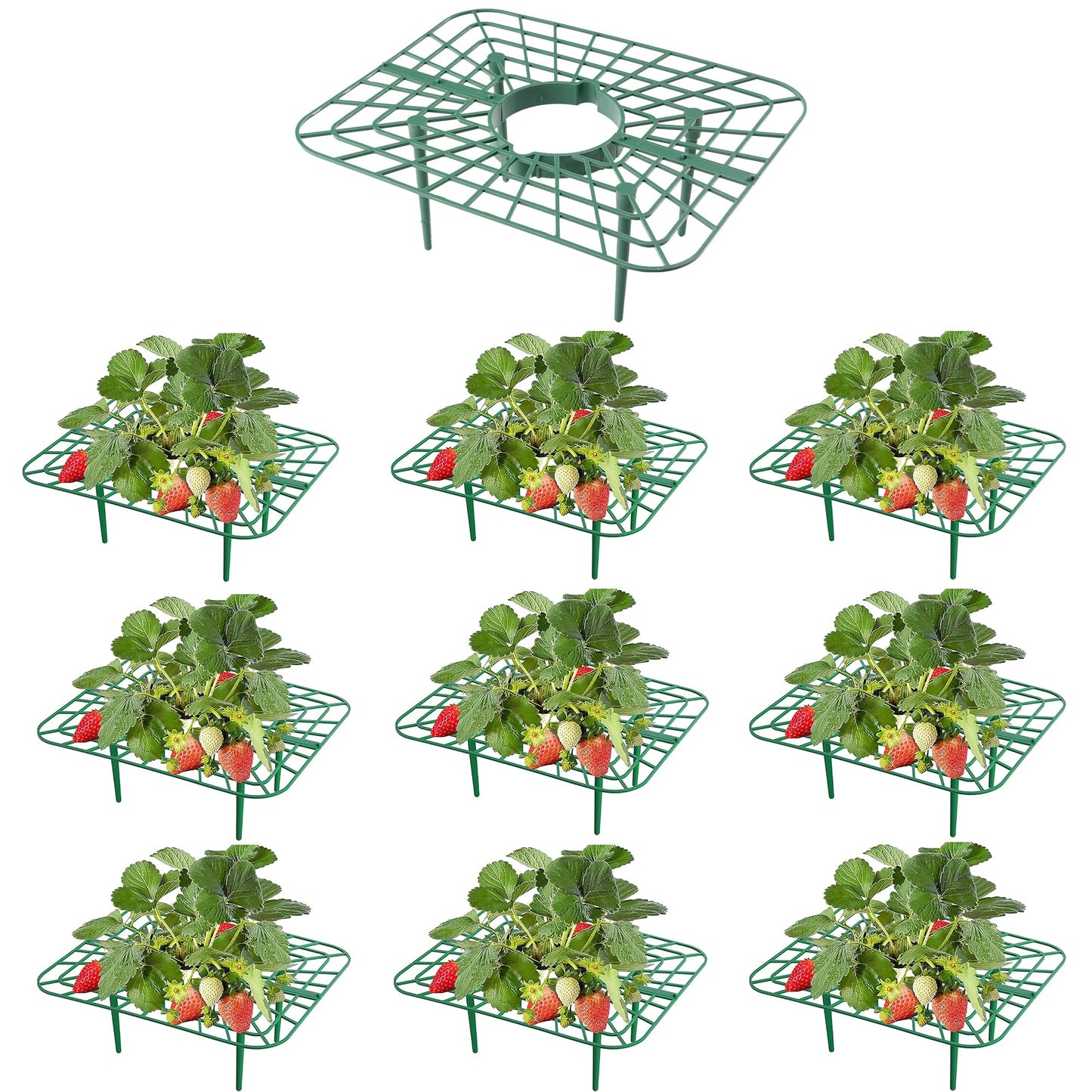 10-Packs Strawberry Plant Support, Reusable Strawberry Garden Trellis & Plant Holder-Keeps Berries Off the Ground for Pots & Backyard Raised Bed Gardens Home Gardeners