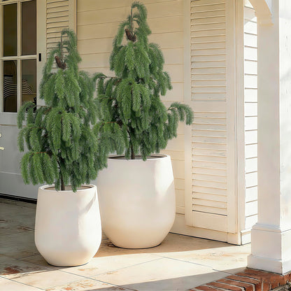 4FT Artificial Norfolk Pine Tree 2-Pack, Real Touch Faux Potted Plants in Black Pot, Fake Christmas Greenery for Indoor Outdoor Front Porch, Entryway, Year-Round Home Decor & Housewarming Gift