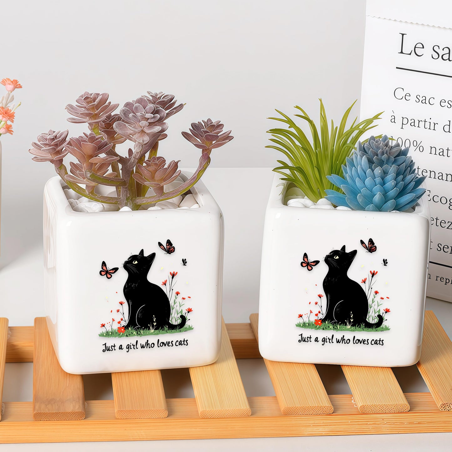 BJDAMAI Black Cat Succulent Planter Flower Plant Pot Small, Gifts for Women Teens Girls Kids, Cat Lovers Themed Stuff Accessories Things Decor Merch, Home Office Table Desk Decoration!