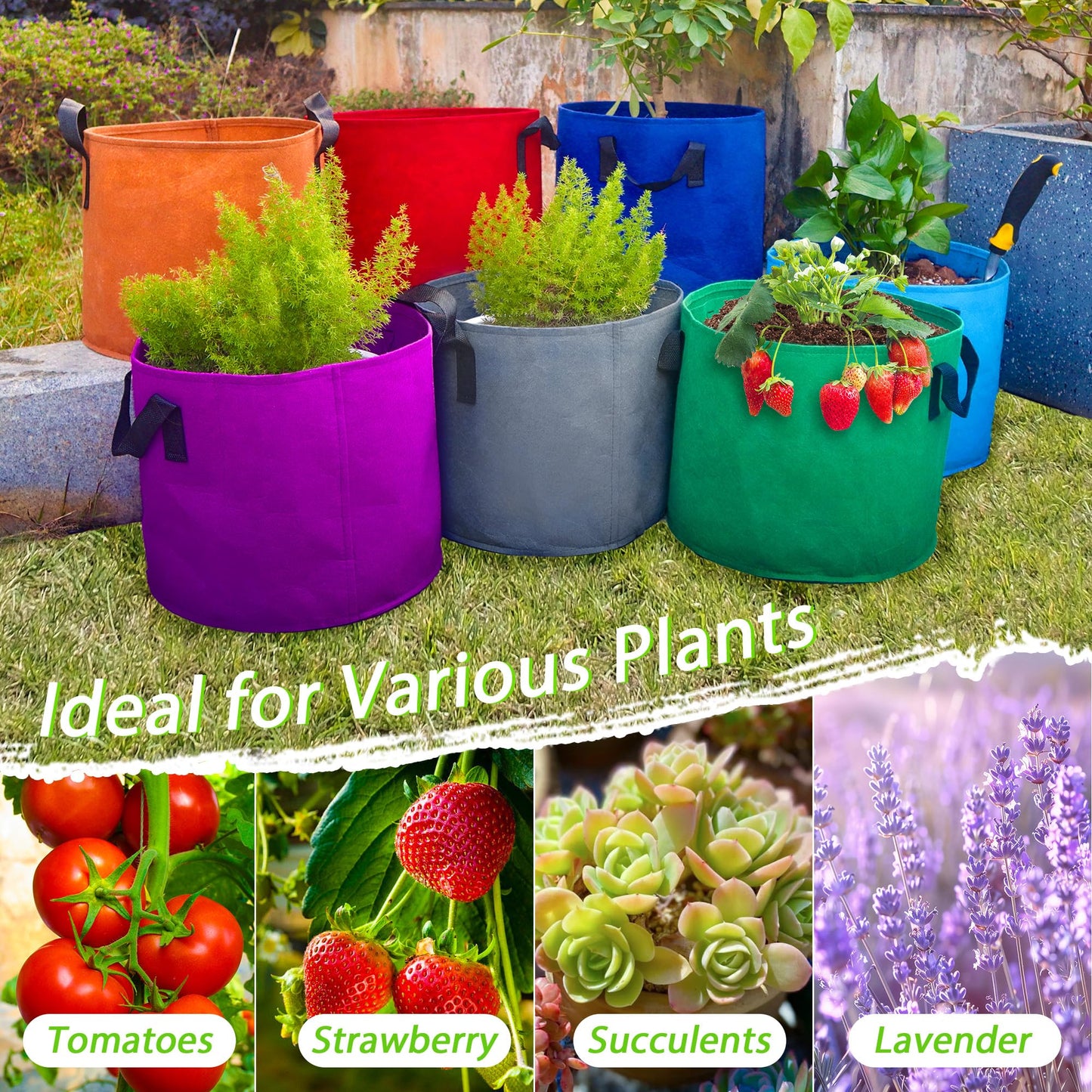 7 Pack 5 Gallon Plant Grow Bags - Mixed 7 Colors with Reinforced Handles & Aeration Design, Ideal for Tomato, Flowers & Fruits