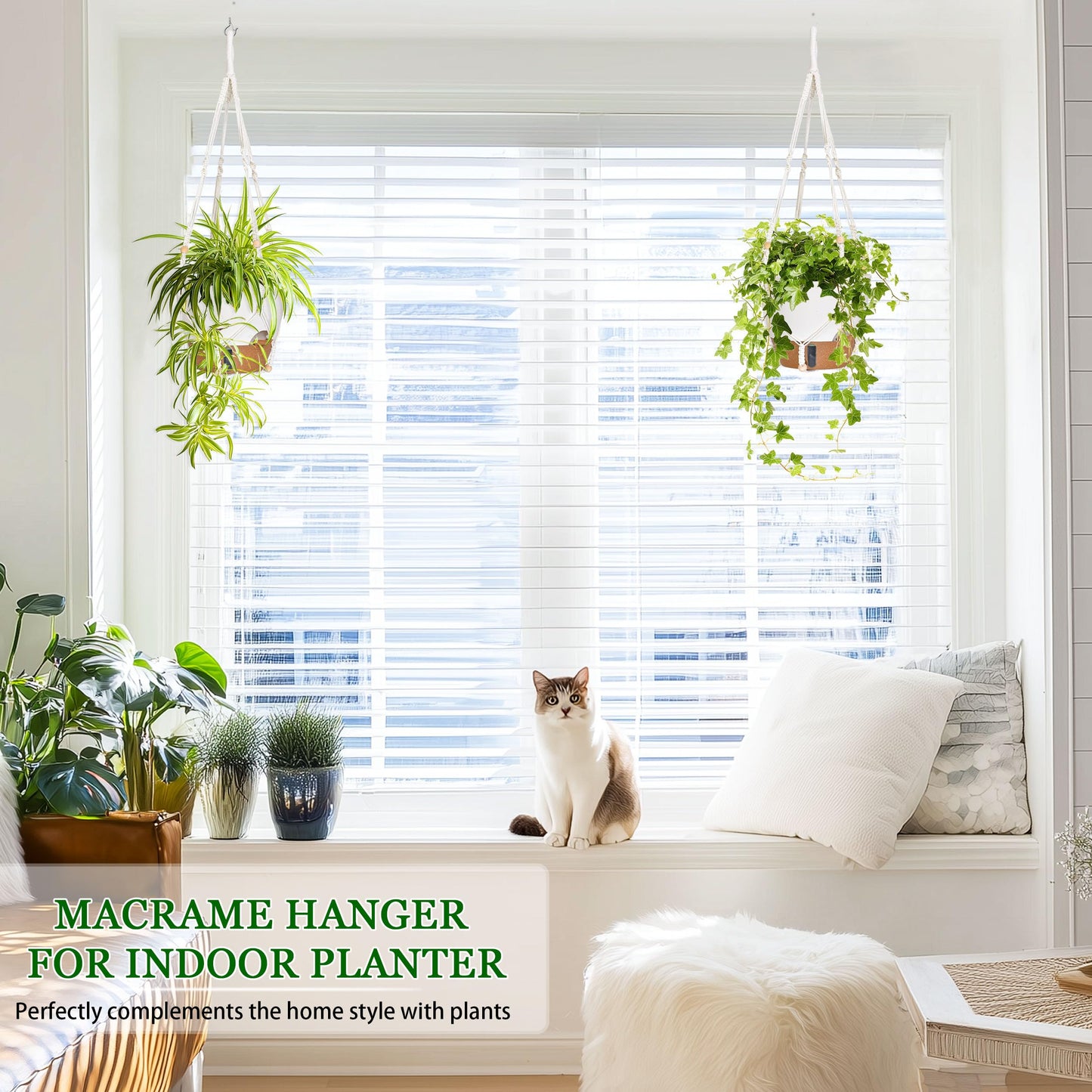 10 Inch Hanging Planters for Indoor Plants, 2 Pack Self Watering Hanging Baskets Flower Pots with Drainage Hole, Visual Reservoir & 2 Kinds of Plant Hanger for Outdoor Garden Home Decor (White)