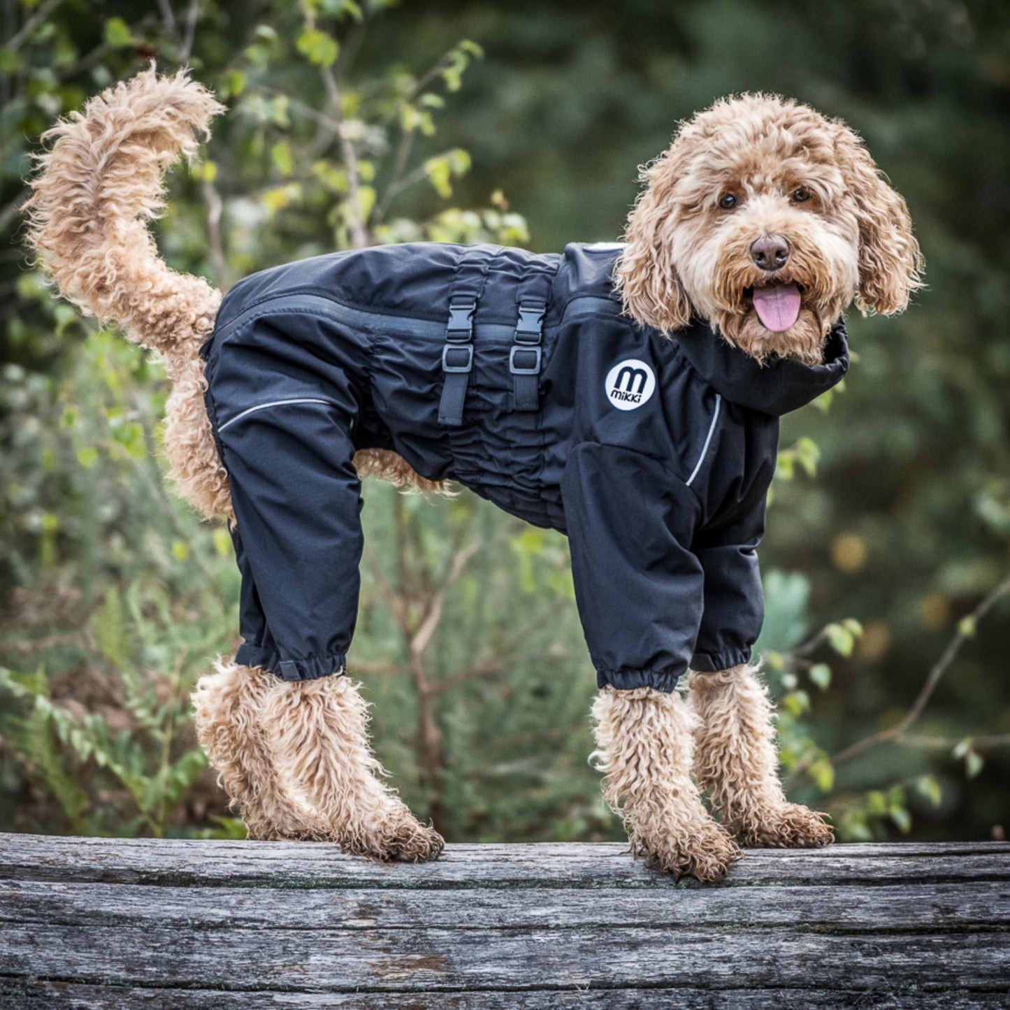 Mikki Doodles Dog Raincoat, Waterproof, Windproof, Silky Lining, Less Friction Means Less Knots & Tangles, Size Large c