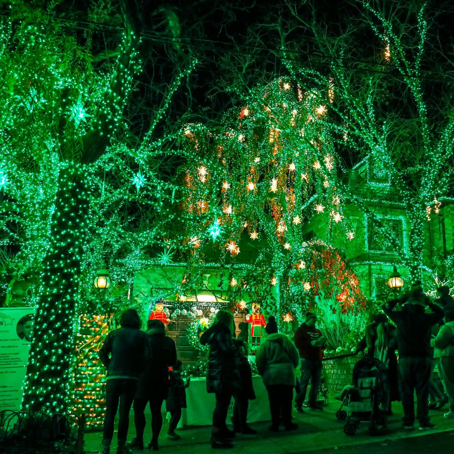 TW SHINE Green Christmas Lights, Total 400 LED 132FT Christmas Lights Plug in with 8 Modes, Waterproof Fairy St. Patrick's Day Light Outdoor, Indoor Christmas Decorations for Party Yard Decorations