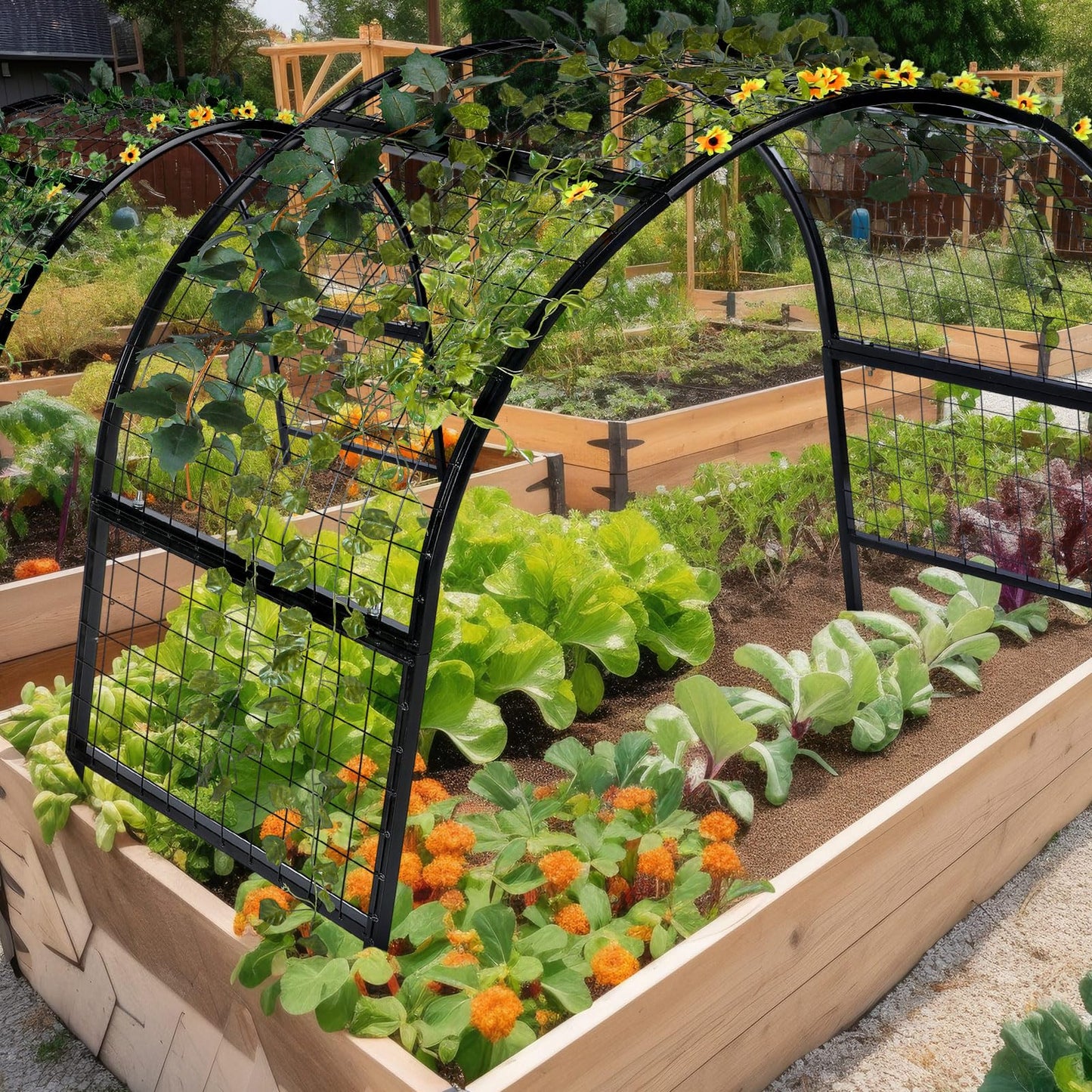 Newtay Arch Trellis for Planter Box Garden Wide Arbor Trellis Metal Arbor for Climbing Plants, Vegetables and Flowers Decorative Outdoor(Black,6 x 2 x 6 ft)