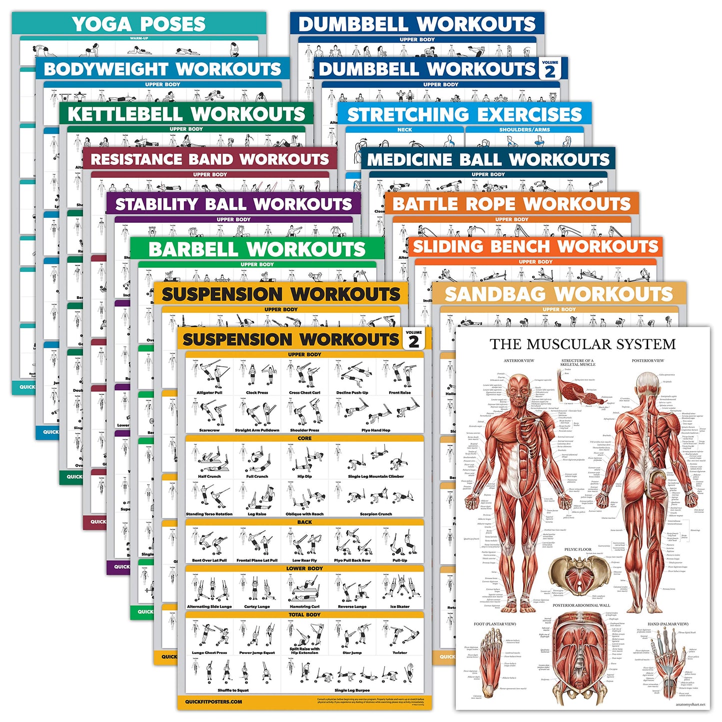 16 Pack - Exercise Poster Set, Dumbbell, Suspension, Kettlebell, Resistance Bands, Medicine Ball, Battle Rope, Stretching, Bodyweight, Barbell, Yoga, Exercise Ball, Muscular (LAMINATED, 18" x 24")