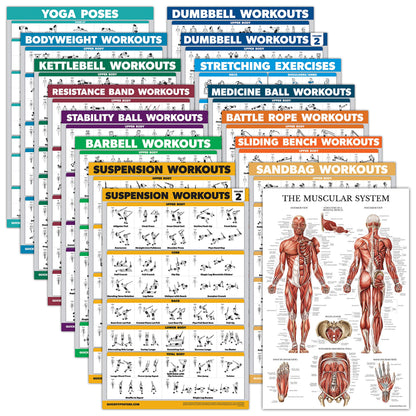 16 Pack - Exercise Poster Set, Dumbbell, Suspension, Kettlebell, Resistance Bands, Medicine Ball, Battle Rope, Stretching, Bodyweight, Barbell, Yoga, Exercise Ball, Muscular (LAMINATED, 18" x 24")