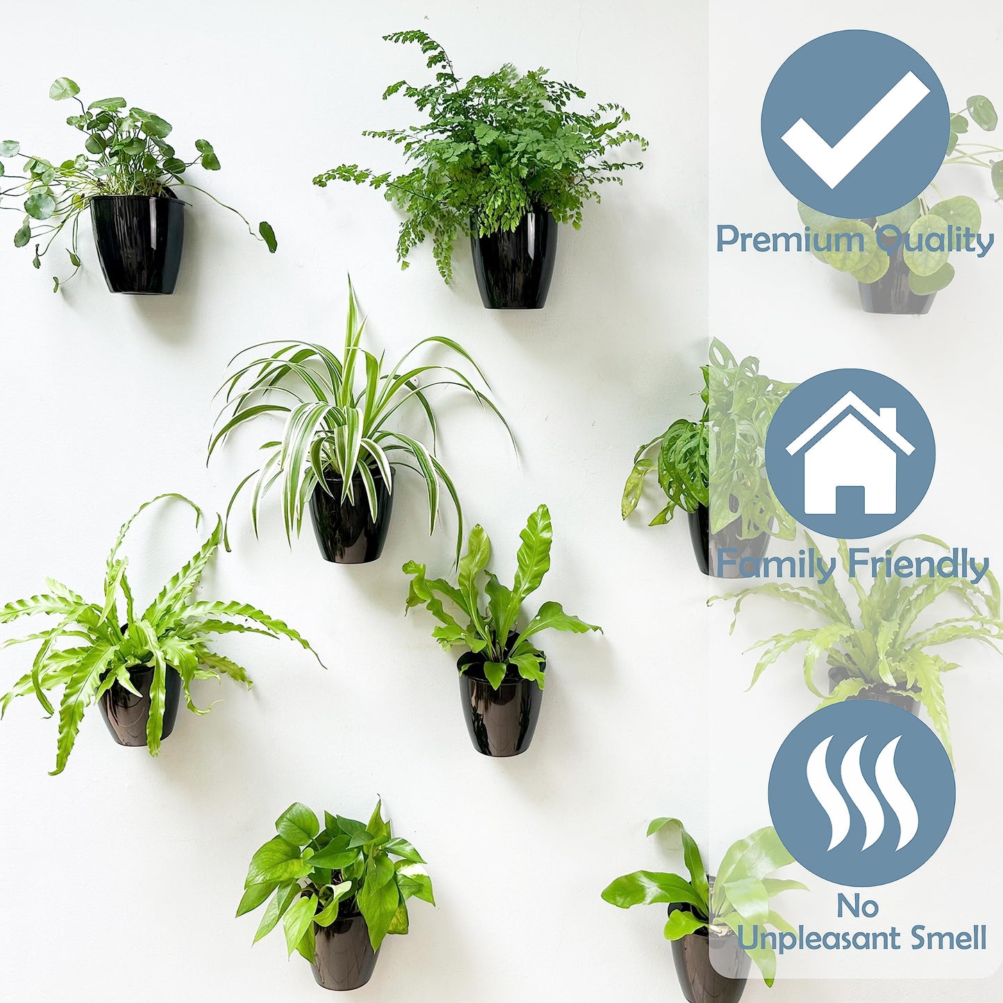 LaLaGreen Wall Planters for Indoor Plants - 10 Pack, 4 Inch Black Self Watering Pots Modern Indoor Hydroponic Vertical Live Garden Wall Mounted Hanging Plant Holder
