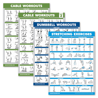 Palace Learning 4 Pack - Cable Machine Workout Posters Volume 1 & 2 + Dumbbell Exercises + Stretching Exercises (LAMINATED, 18" x 24")