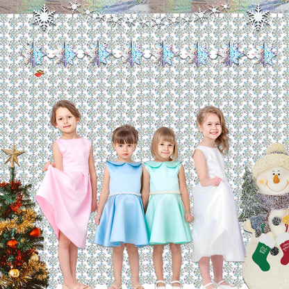 Silver Snowflake Fringe Curtain - GREATRIL Winter Onederland Streamers Backdrop with Sparkling Snowflake for Christmas Birthdays Party Decoration -3.2ft x 6.5ft - 2 Pack