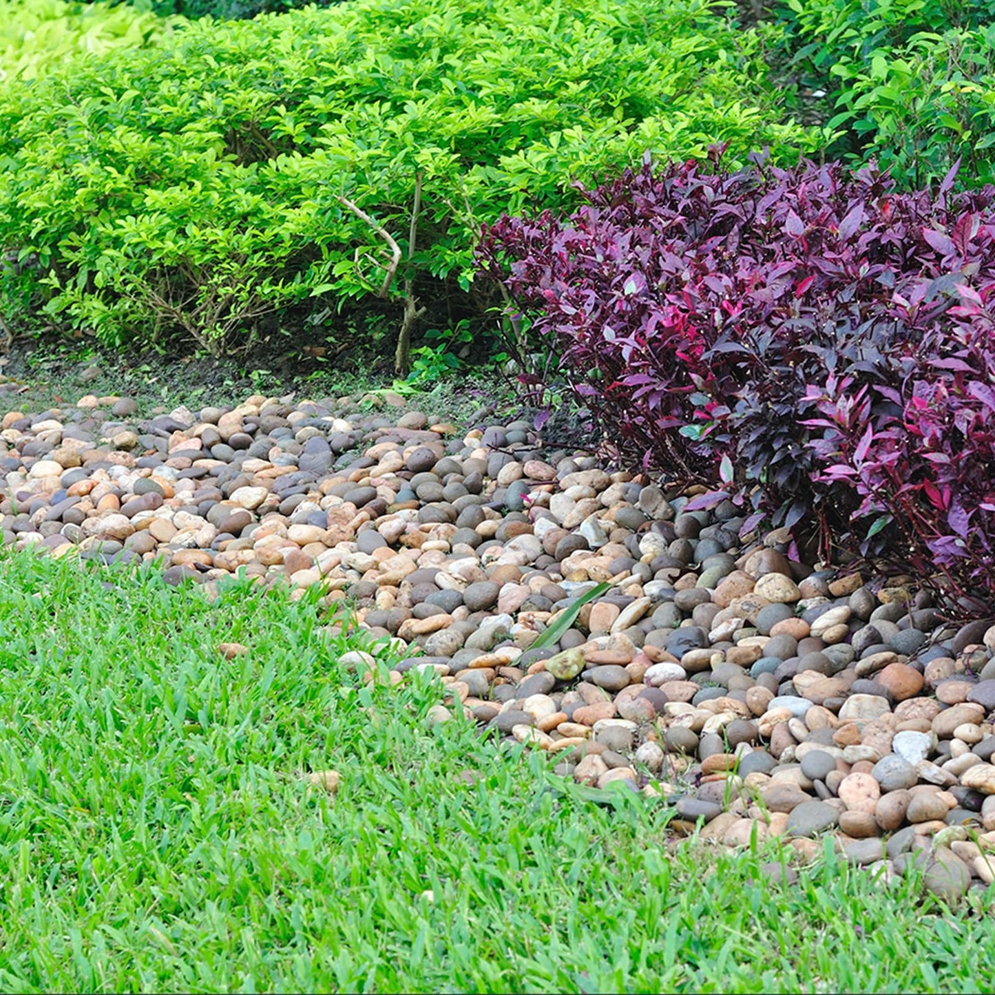 Pulovin 20 lbs River Rocks for Landscaping, 2"-3" Garden Rocks Outdoor Landscaping, Decorative Patio Stones for Planters, Flower Pots, Vase, Walkways, Yard, Natural Rocks for Aquarium, Fish Tank