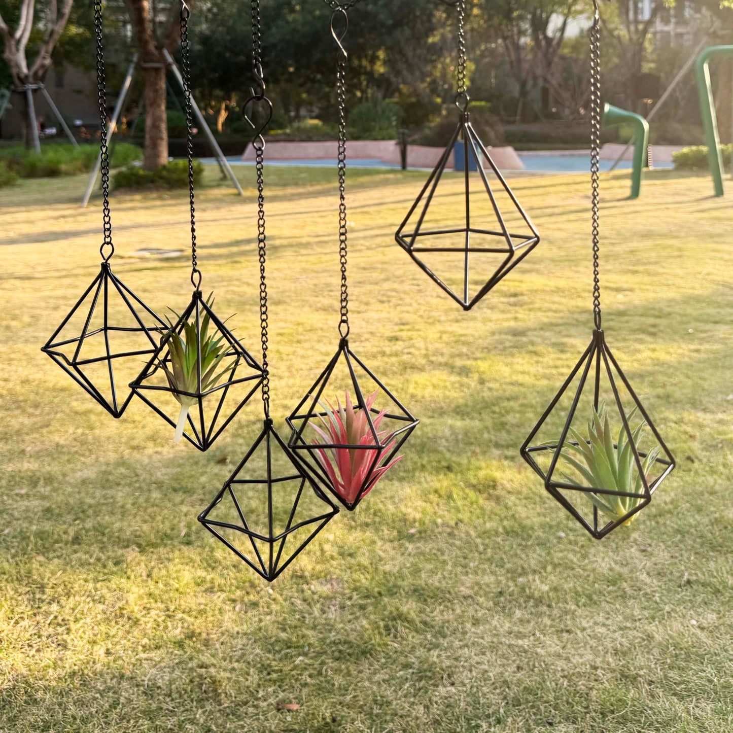 PUDAPU 6 Pack Hanging Metal Air Plant Holders with Chain, Black Geometric Tillandsia Air Plant Hanger Cages, 2 Styles Mini Iron Air Plants Live Holders for Home Office Garden Decor