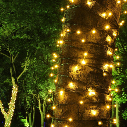 PMS 100-1000 LED Christmas Lights, Low Voltage Fairy String Lights with 8 Modes, Ideal for Xmax Tree, Garden, Home, Party, Halloween Festival Deco (100 LEDs, Warm White)