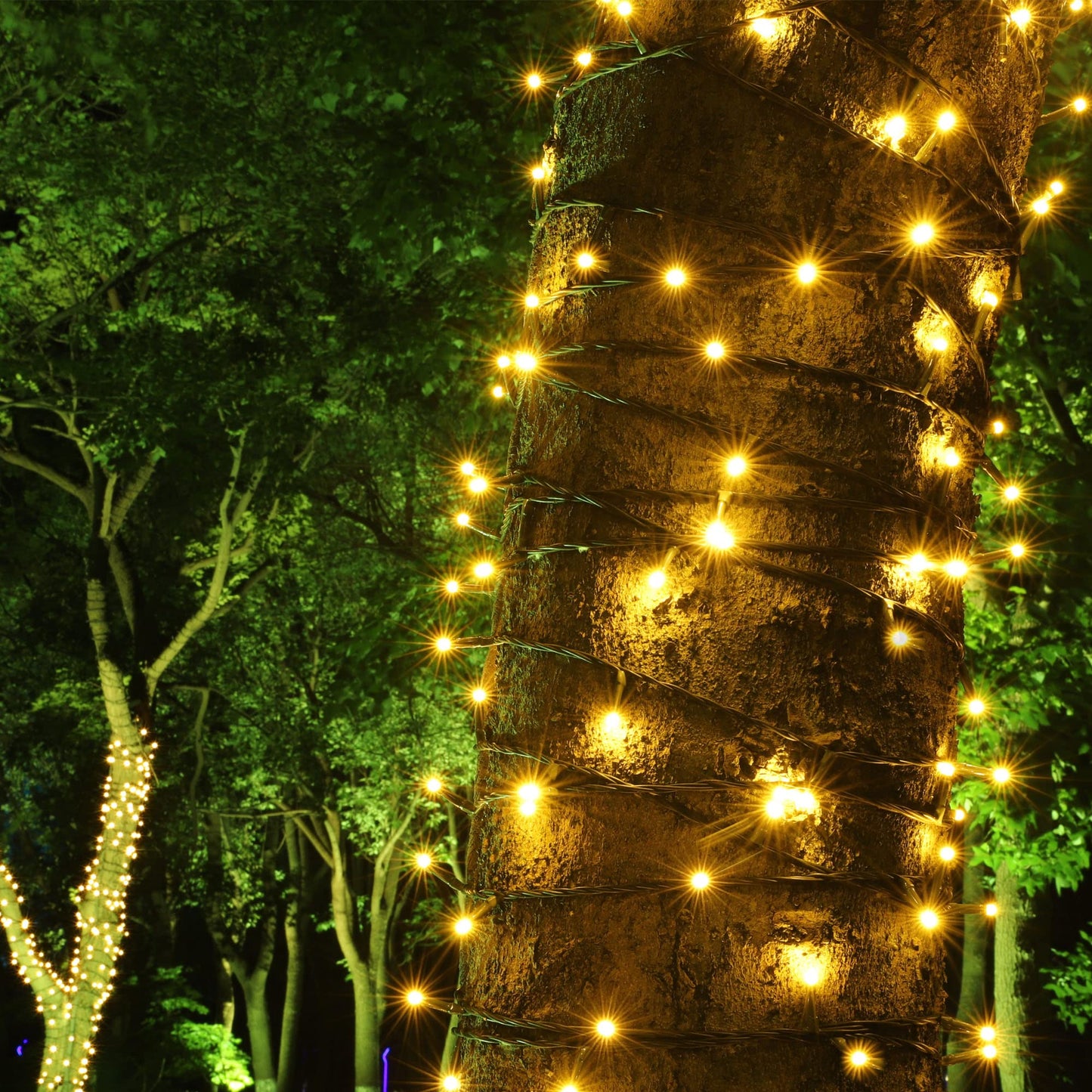 PMS 100-1000 LED Christmas Lights, Low Voltage Fairy String Lights with 8 Modes, Ideal for Xmax Tree, Garden, Home, Party, Halloween Festival Deco (Warm White, 200 LEDs)