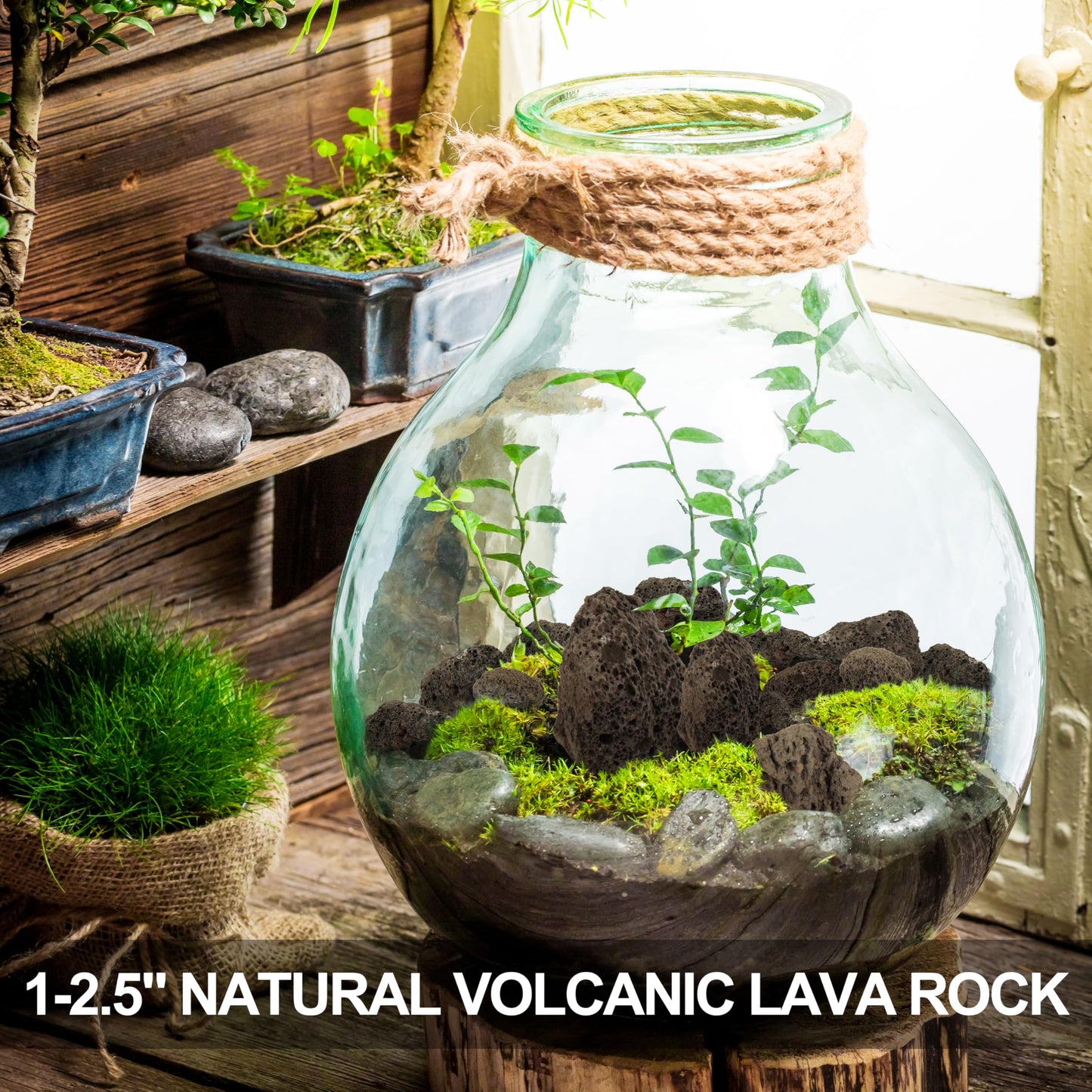 Skyolaq 1-2.5" Natural Volcanic Lava Rock for Aquarium, Plants, Fire Pit, Succulent & Garden Decor, 1lb