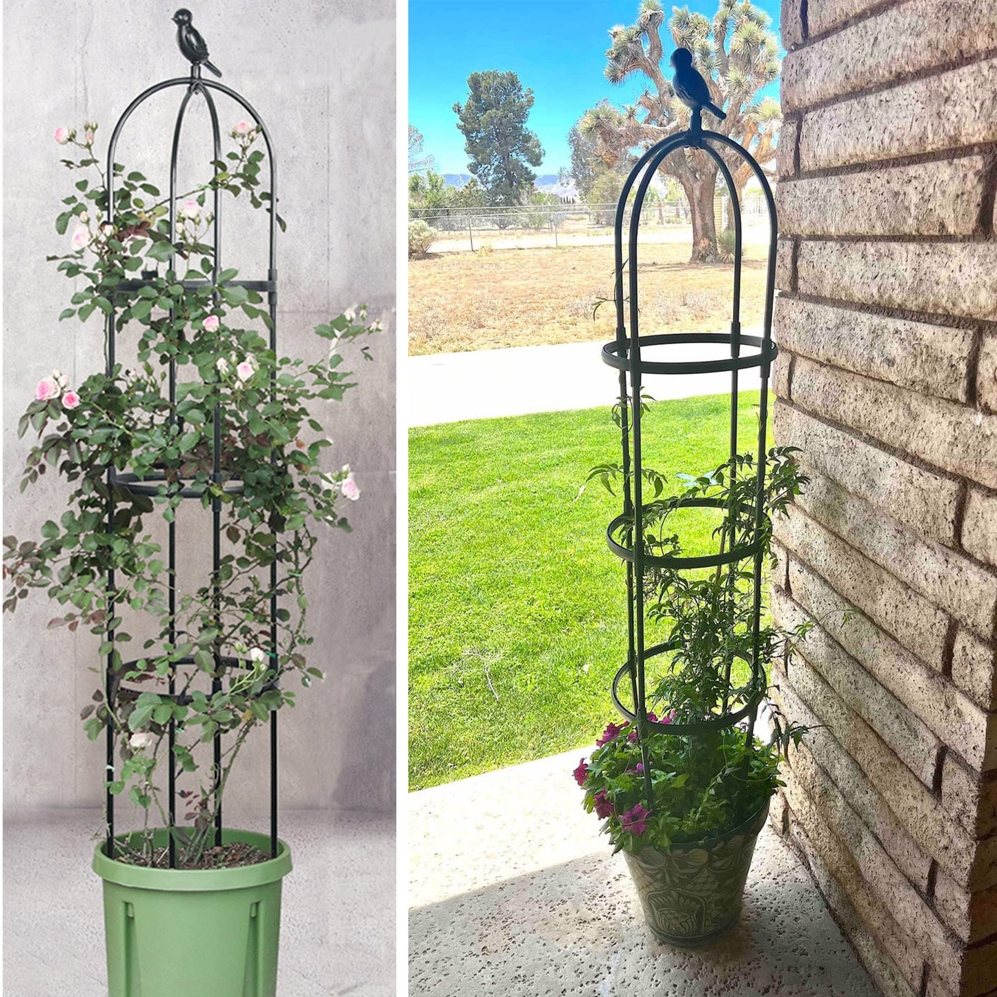 Garden Trellis for Climbing Plants, Rustproof Metal Pipe with Heavy Duty 6ft, Garden Outdoor Indoor Potted Plant Support（Black）