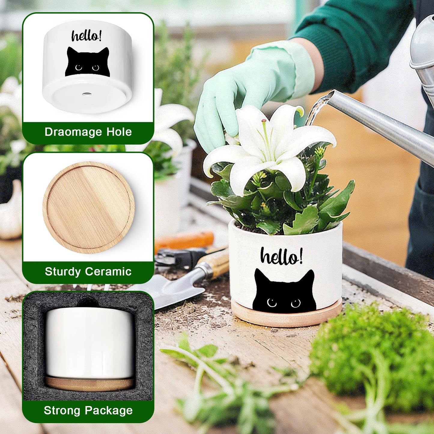 Funny Hello Black Cats Ceramic Plant Pot for Succulent, Cute Cat Cactus Flower Planter for Windowsill Indoor Decor, Home Office Decoration for Plant Lovers Friends Cat Owner Lover (No Plants) (Hello)